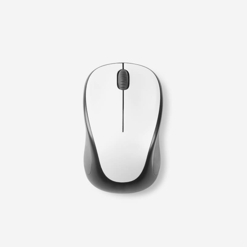 Computer Mouse